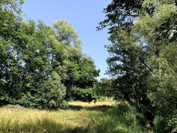 La ferme Bressane et son ancien moulin