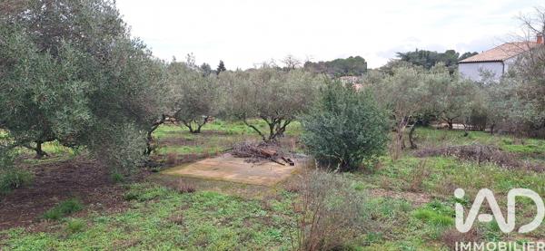 Terrain à vendre 1 114 m² Aubais