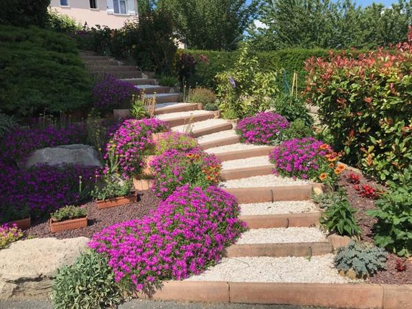 Sainte-Euphémie (01600) Maison sur 1200m2 avec vue imprenable 4 chambres