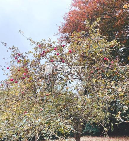 Belle construction des année 70