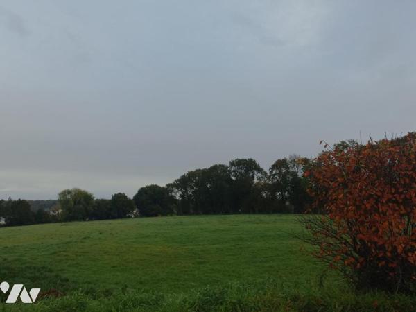 Terrain constructible