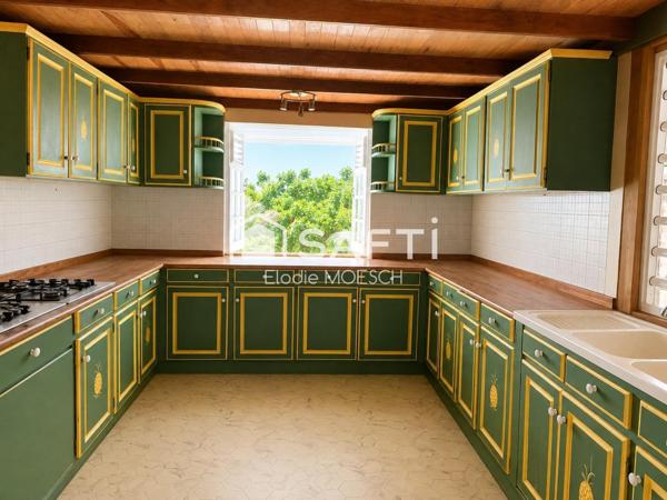A saisir : 2 maisons sur un terrain de 2 hectares à la campagne !
