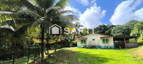 A saisir : 2 maisons sur un terrain de 2 hectares à la campagne !