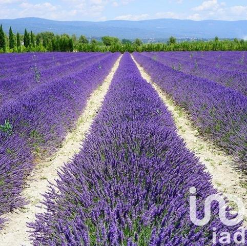 Maison de village 7 pièces de 160 m² à Saint-Étienne-les-Orgues (04230)