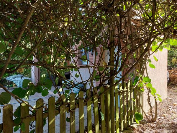 Dpt Tarn et Garonne (82), à vendre MONTAUBAN maison P5 de 178,56 m² - Terrain de 2 187,00 m² avec piscine, garage et pool house