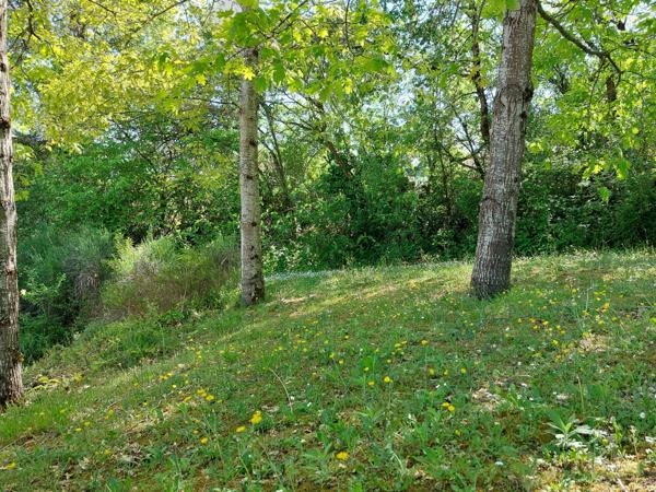 Dpt Tarn et Garonne (82), à vendre MONTAUBAN maison P5 de 178,56 m² - Terrain de 2 187,00 m² avec piscine, garage et pool house