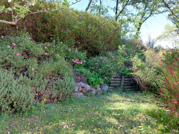 Dpt Tarn et Garonne (82), à vendre MONTAUBAN maison P5 de 178,56 m² - Terrain de 2 187,00 m² avec piscine, garage et pool house