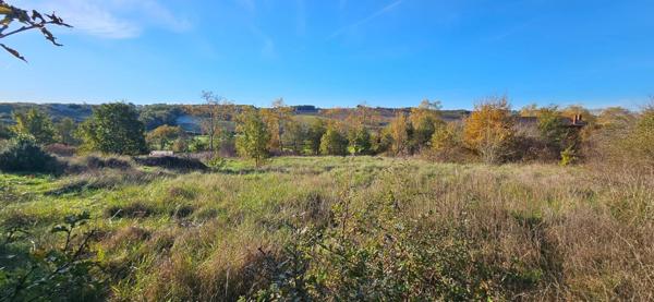 Terrain à bâtir, borné, non viabilisé