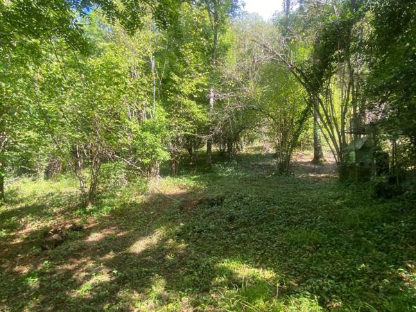 Maison de village avec grand terrain