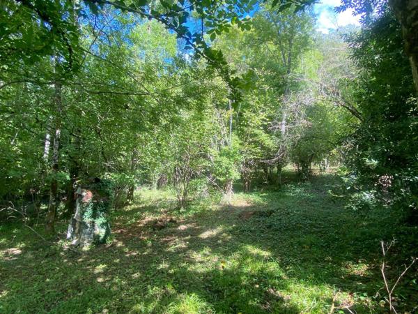 Maison de village avec grand terrain
