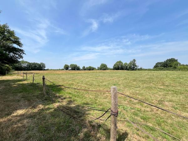 Longère authentique et écologique à Chalonnes-sur-Loire