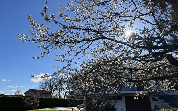 Maison à vendre    6 pièces • 221 m2 Bourg-en-Bresse