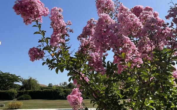 Maison à vendre    6 pièces • 221 m2 Bourg-en-Bresse