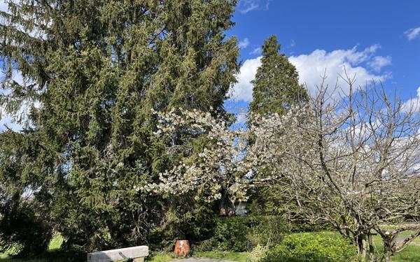 Maison à vendre    6 pièces • 221 m2 Bourg-en-Bresse