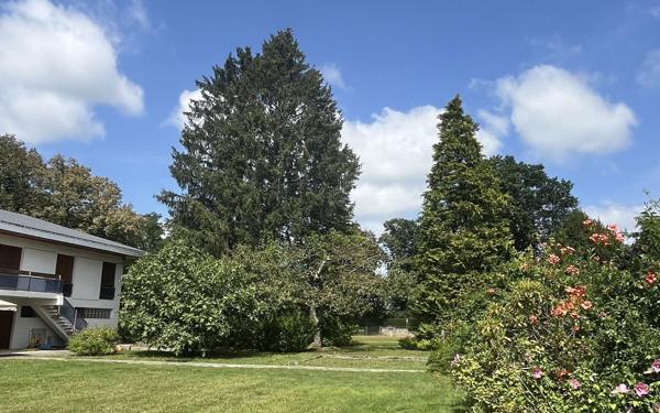 Maison à vendre    6 pièces • 221 m2 Bourg-en-Bresse