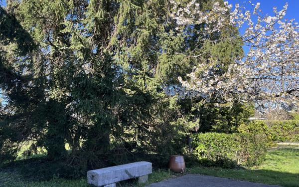 Maison à vendre    6 pièces • 221 m2 Bourg-en-Bresse