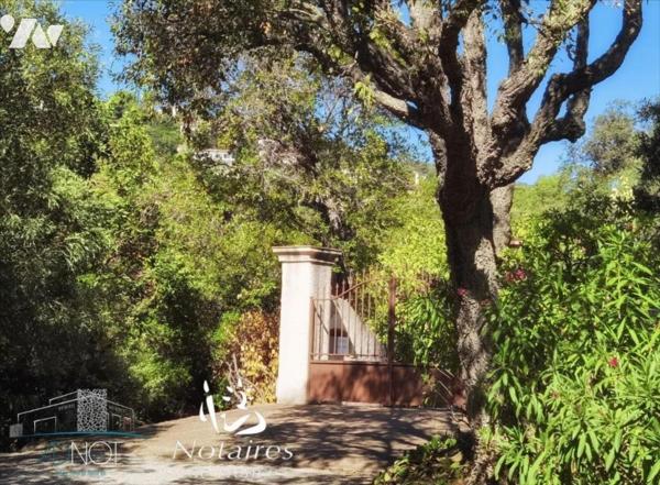 Villa de 200 m² sur un terrain de plus de 5000 m²
