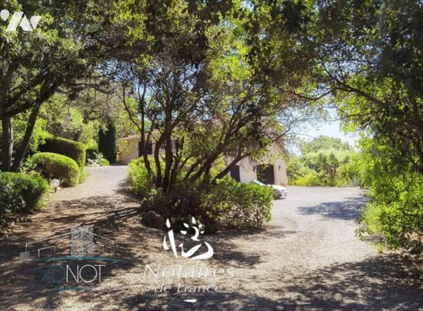 Villa de 200 m² sur un terrain de plus de 5000 m²