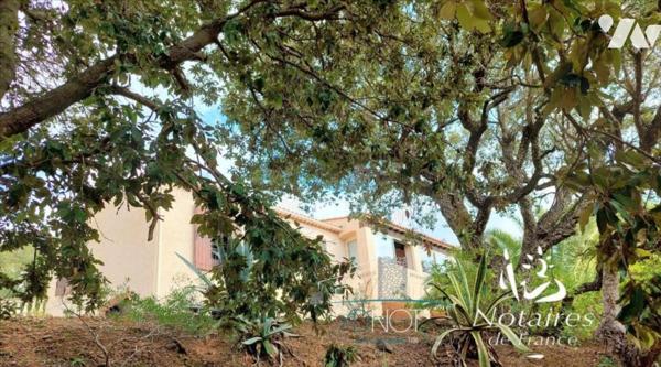 Villa de 200 m² sur un terrain de plus de 5000 m²