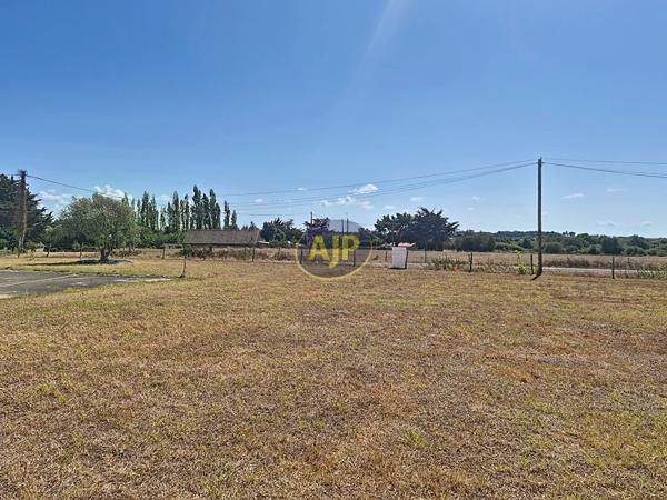 Terrains à vendre Les Moutiers En Retz : surface de 750 m2 à 196 000€ - AJP Immobilier Pornic