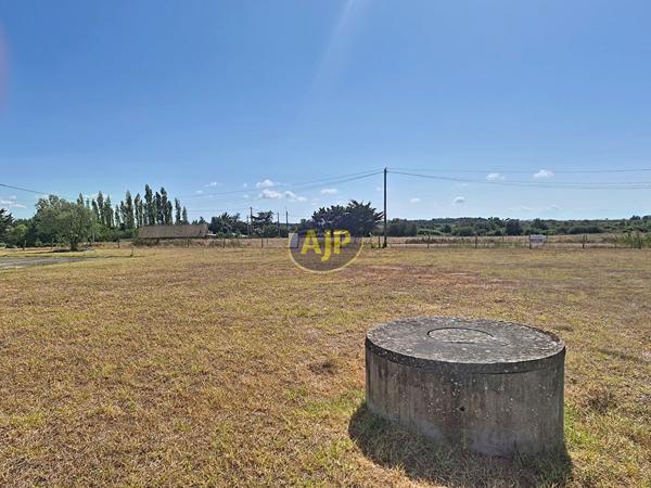 Terrains à vendre Les Moutiers En Retz : surface de 750 m2 à 196 000€ - AJP Immobilier Pornic