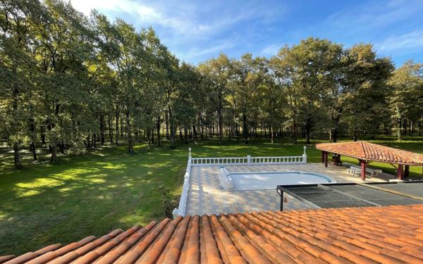 Maison à vendre    5 pièces • 328 m2 Benquet