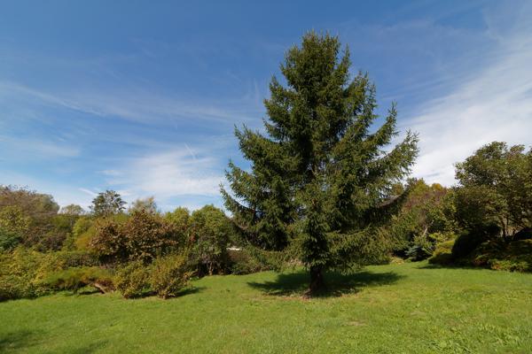 Maison 11 pièces - 290 m²