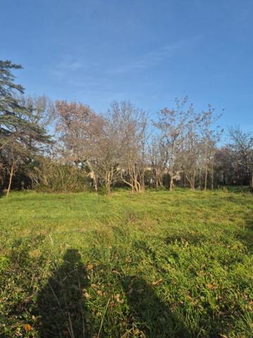 LEGUEVIN - TERRAIN PLAT de 3454 m2