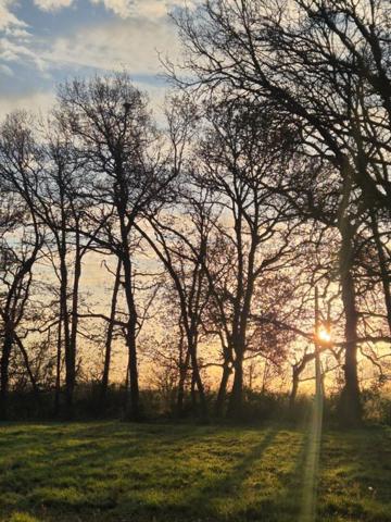 LEGUEVIN - TERRAIN PLAT de 3454 m2