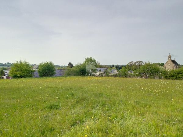 Terrain
