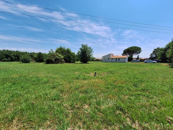 Maison de 4 pièces (137 m²) sur 7000 m2 de terrain constructible et divisible