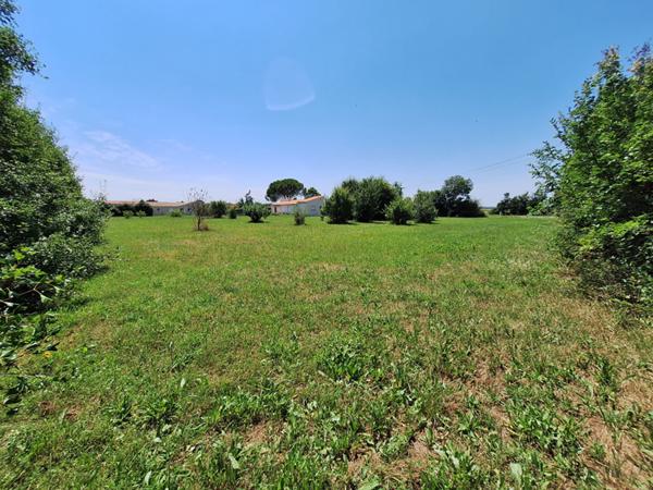 Maison de 4 pièces (137 m²) sur 7000 m2 de terrain constructible et divisible