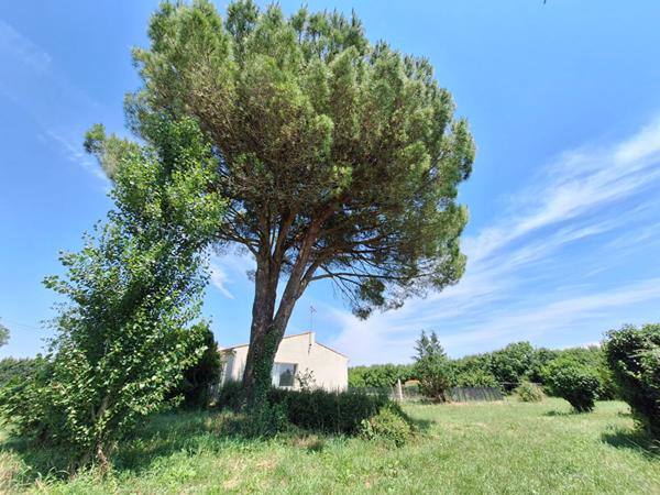 Maison de 4 pièces (137 m²) sur 7000 m2 de terrain constructible et divisible