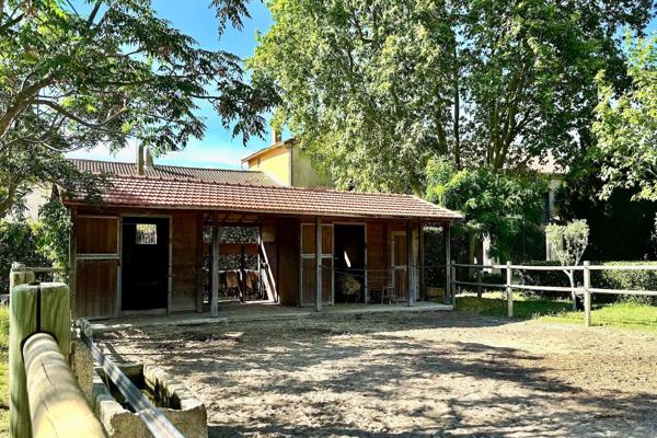 Vente Maison de maître Aigues-Mortes 15 Pièces 355 m²