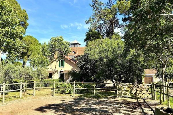 Vente Maison de maître Aigues-Mortes 15 Pièces 355 m²