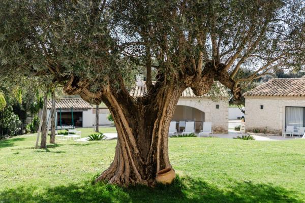 Vente Maison de luxe Perpignan 7 Pièces 340 m²
