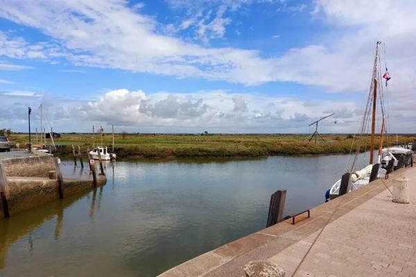 MAISON CHARENTAISE D'EXCEPTION A MORNAC-SUR-SEUDRE - 6 Chambres - 265 m²