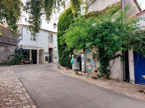 MAISON CHARENTAISE D'EXCEPTION A MORNAC-SUR-SEUDRE - 6 Chambres - 265 m²