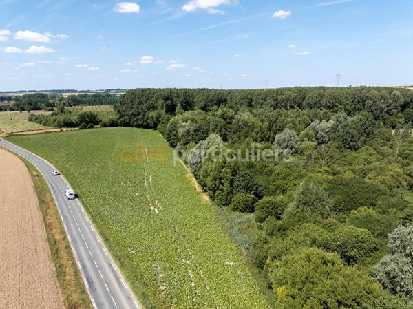 Vente
                Terrain16842 m² - GALAMETZ (62770)