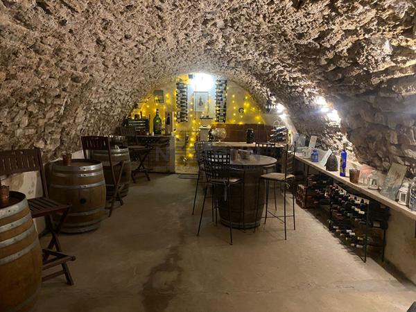 Ancienne bergerie rénovée de plus de 225 m2 sur terrain de plus de 1800m2, piscine