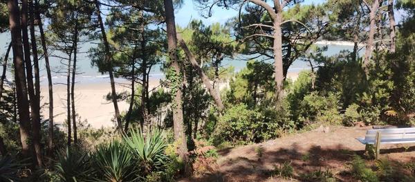 Maison - MESCHERS SUR GIRONDE