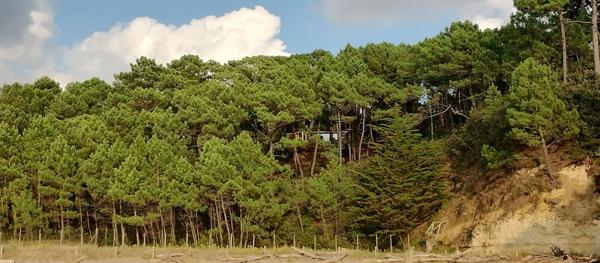 Maison - MESCHERS SUR GIRONDE
