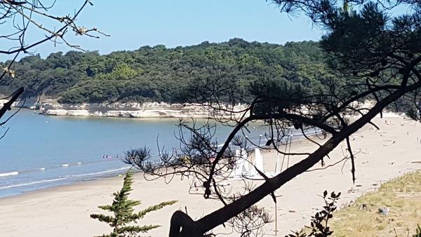 Maison - MESCHERS SUR GIRONDE