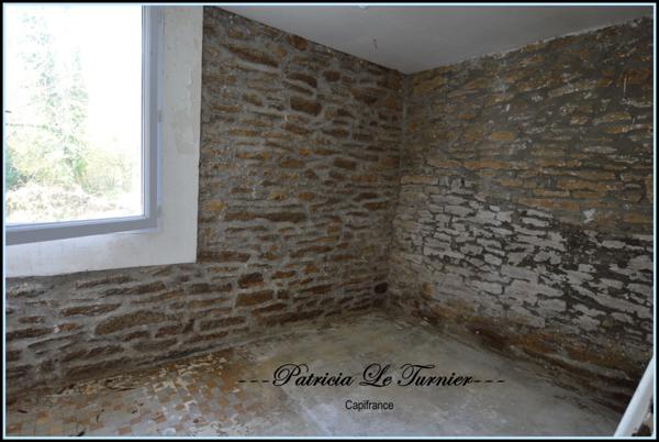 Maison en pierre à vendre 4 pièces CAMORS 66 m² (56) Morbihan Terrain 5000m²