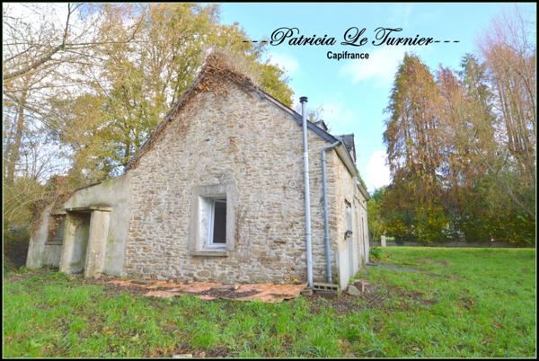 Maison en pierre à vendre 4 pièces CAMORS 66 m² (56) Morbihan Terrain 5000m²