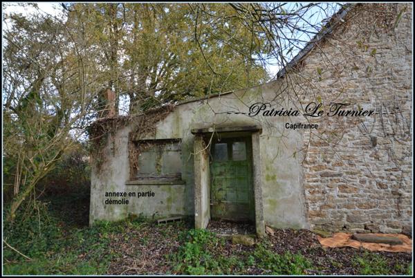 Maison en pierre à vendre 4 pièces CAMORS 66 m² (56) Morbihan Terrain 5000m²