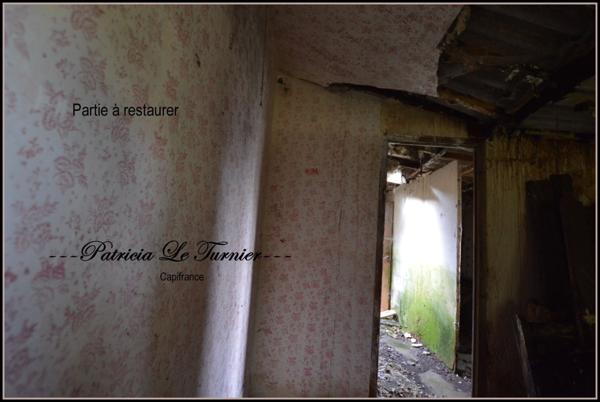 Maison en pierre à vendre 4 pièces CAMORS 66 m² (56) Morbihan Terrain 5000m²