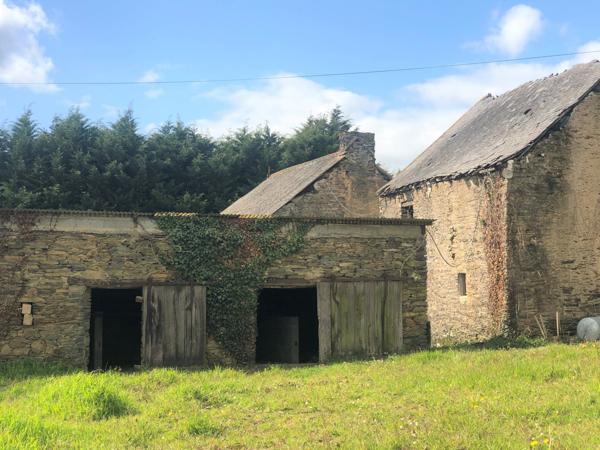 Au calme, maison à rénover avec dépendances