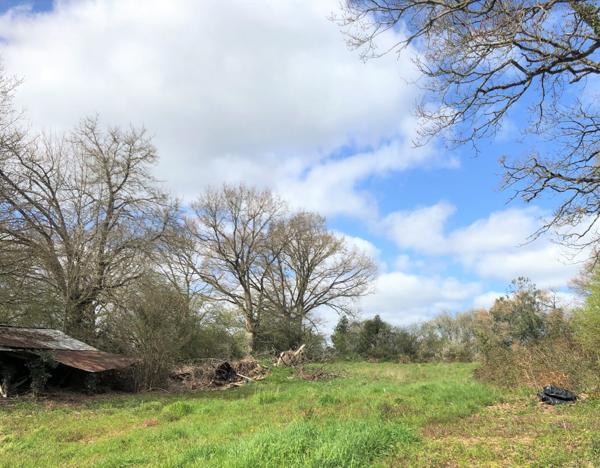 Au calme, maison à rénover avec dépendances