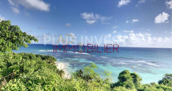 T1 vue mer panoramique - Piscine et plage privative - Résidence sécurisée